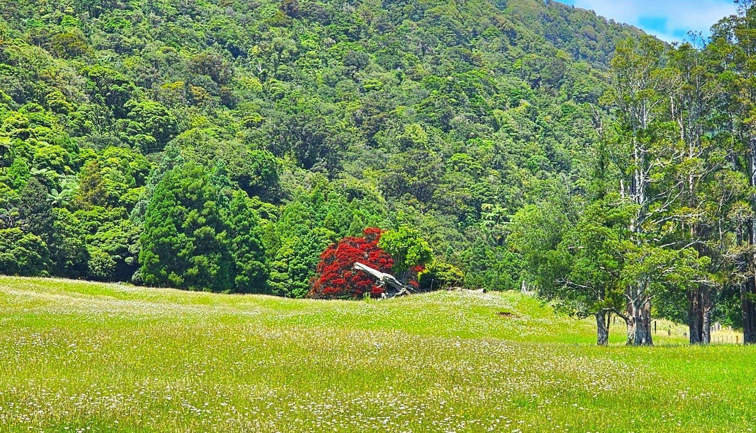 Rural Elevated Land Waimamaku